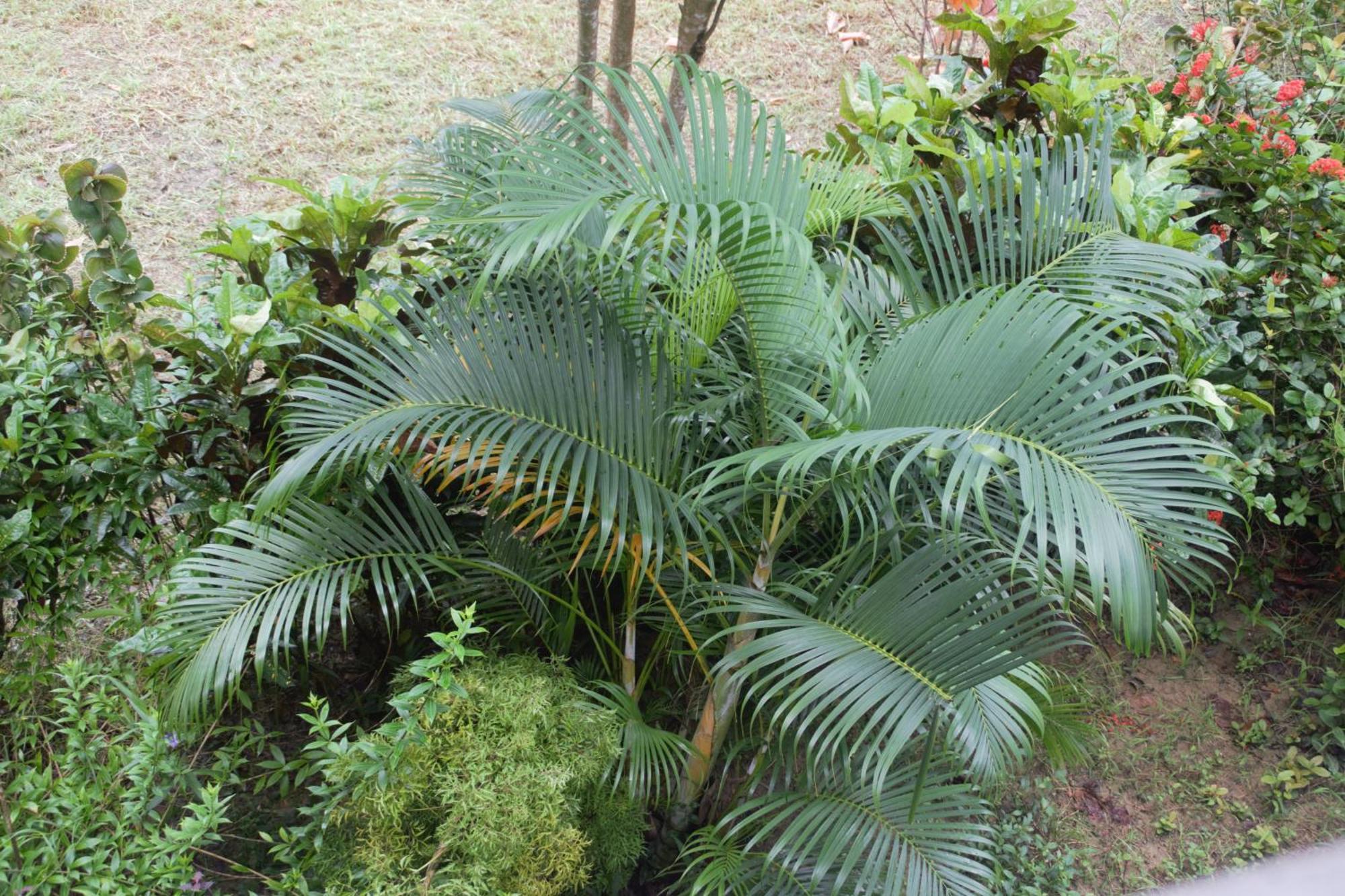 Hotel Exotica Squares Lakshmanpur Esterno foto